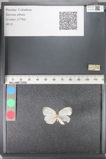 Media type: image;   Entomology 120480